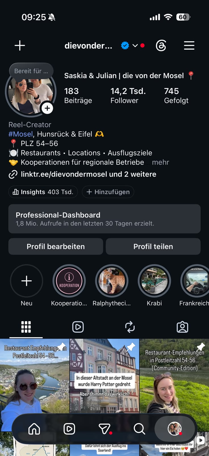 Instagram-Profil @dievondermosel – regionaler Kanal für Wittlich und die Mosel